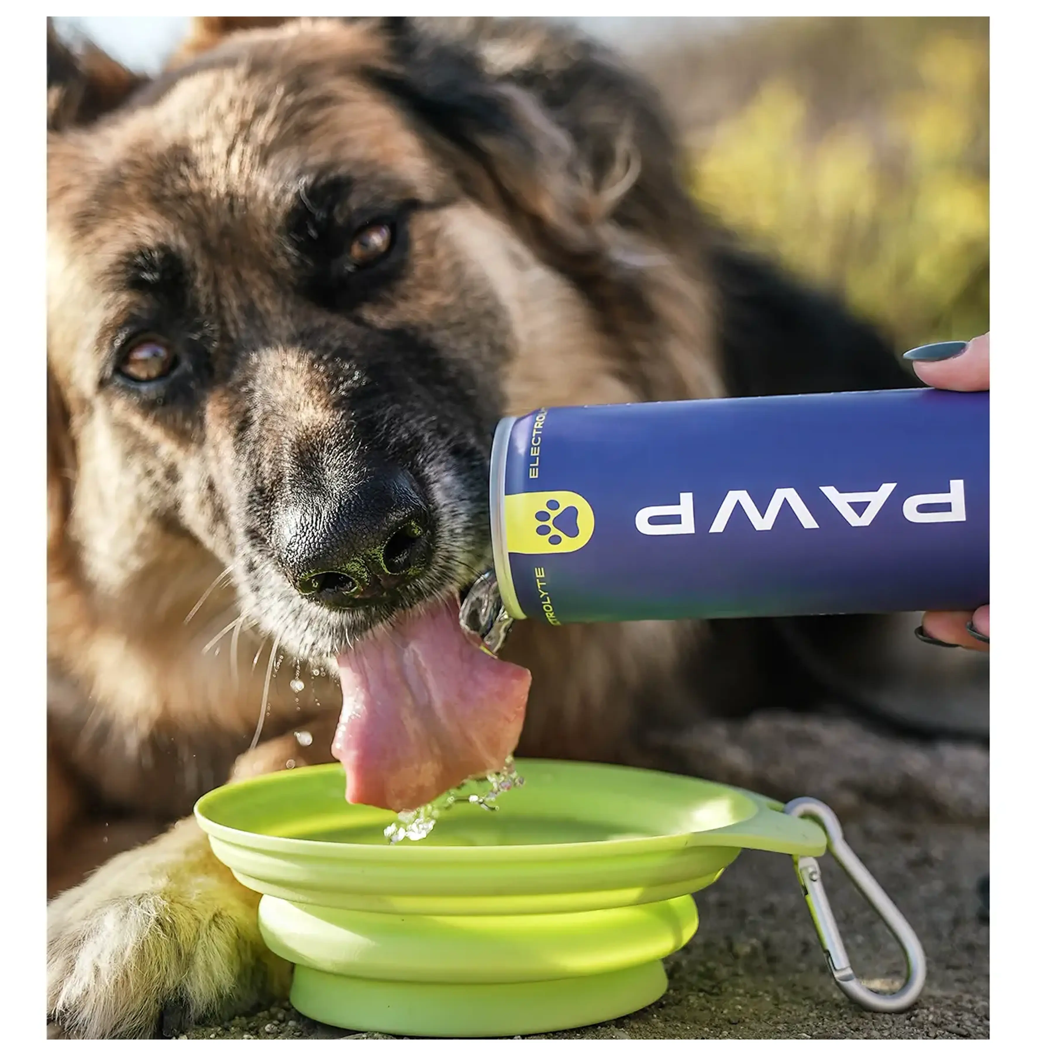 Pawp Water Product 2